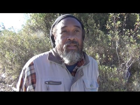 Mooji Video: Seeing Through the Scams and Schemes of Your Psychological Conditioning