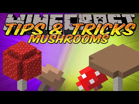 how to plant mushrooms in minecraft