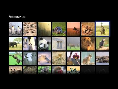 Imagen de previsualización de YouTube
