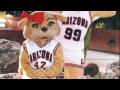 videos de An Arizona Tradition: The U of A Mascots