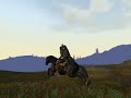 Horse Horse