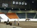Im In Denile - 5th Amateur HUS 2008 Region 4 show Im In Denile - 5th Amateur HUS 2008 Region 4 show