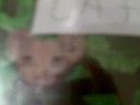 turcat