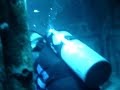 Diving Diving
