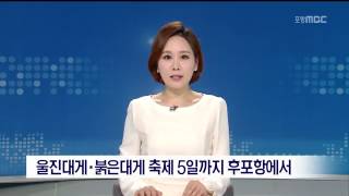 MBC 이브닝뉴스