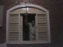 Elvis.wmv Elvis.wmv