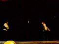 IAMX dance