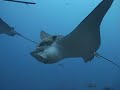 Galapagos Aggressor II