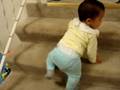 videos de Davidsito