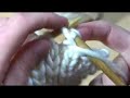 Cerrar puntos/ Bind-off Cerrar puntos/ Bind-off