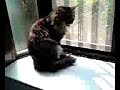 浴槽にドボン