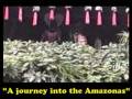 A Journey Into Amazonas -Viajes Virtuales
