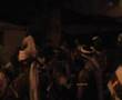 VIM 2008 (Roseaux, 06.01.2008, Fds-Laugier)