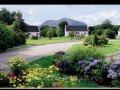 Killarney Impressions
