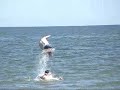 Back Jumping with Jared Ozz and Mike Ozz