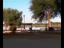 Las marismas del Rocío