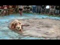 lacarne net » Peleas de barro