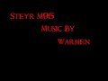 My Steyr m95