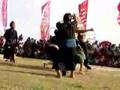 Indonesie - Kuta Lombok - Nyale festival: Stick fighting