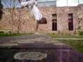 Venga-Benga Part 1 Venga-Benga Part 1