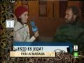 SLQH - Reportera insensible