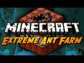 Extreme Ant Farm Survival - Ep. 7 - TNT, TNT, TNT!!!