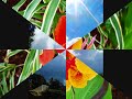 Seychelles-Mahe-Praslin-La Digue