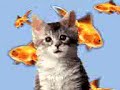 gatti,gatto,parla
