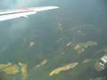 Takeoff@Kagoshima Airport (Japan)(RWY34)
