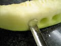 Melón America´s Cup