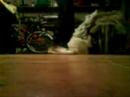 nfs-underground-most-wanted-featuring-mims-the-grits-.html