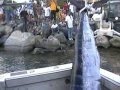 St-Martin Billfish Tournament compilation Part 2.