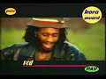 ETHIO rasta
