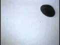 One of the best to date close up video footage of UFO! Video