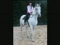 videos de me trying out a horse to buy   FULL CREDIT TO SONG OWNER (not my song)