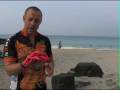 The Triathlon Coach in Kona