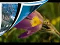 Barry &amp; Batya Segal - Salvation Belongs To Our God