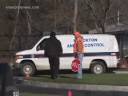 POLICE FORCED TO SHOOT INJURED DEER.mov