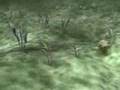 videos de Trilobit - Ptychopyge sp