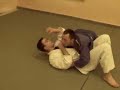 rosomak