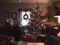 i surprised my family by secretly coming home on christmas eve, dressed as santa claus! i had previously told my family that i wasn't going to make it home this year.

big thanx to my dad for keeping the secret and thanx to everyone who held the video camera and captured this footage!

http://www.flickr.com/photos/robboudon/

http://robboudon.com