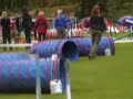 Agilitykonkurranse i Sandefjord, agility klasse 1