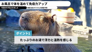 相談10502に関連する動画