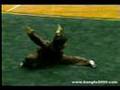 Garras de aguia ( kung fu )