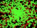 AREM SIDE L PARTICLES AREM SIDE L PARTICLES