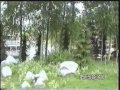 DISNEY REVIVAL 1998 - RAILROAD AROUND THE PARK