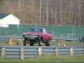 Falcon Gasser Falcon Gasser