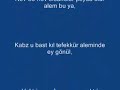 Mesut Cemil Bey Anlatiyor...