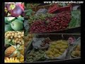 Thai Fruits (Coconut)