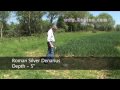 Laser Hawkeye metal detector, Regton with Norfolk Wolf